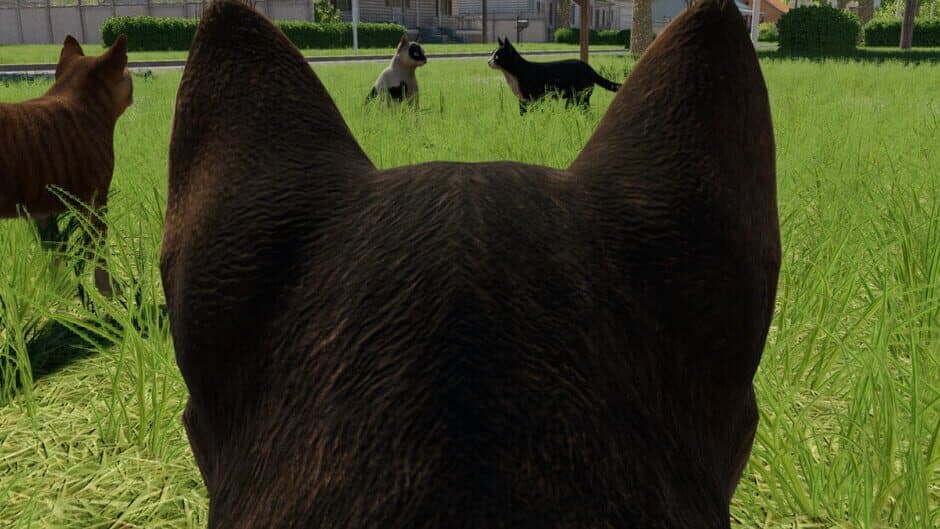 Reign of Cats artwork 1