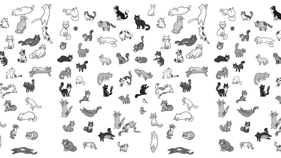HiPurrLand artwork 1