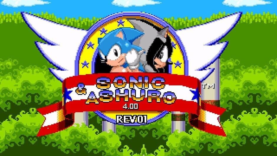 Sonic & Ashuro artwork 1