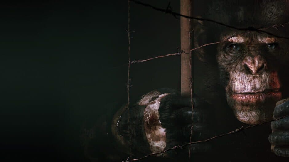 Animal Use Protocol artwork 1
