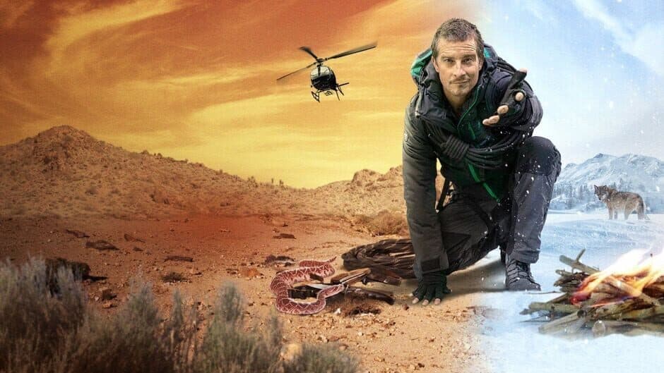 You vs. Wild artwork 2