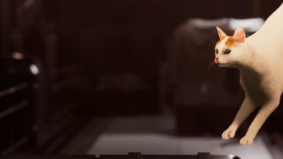 Catfall artwork 1