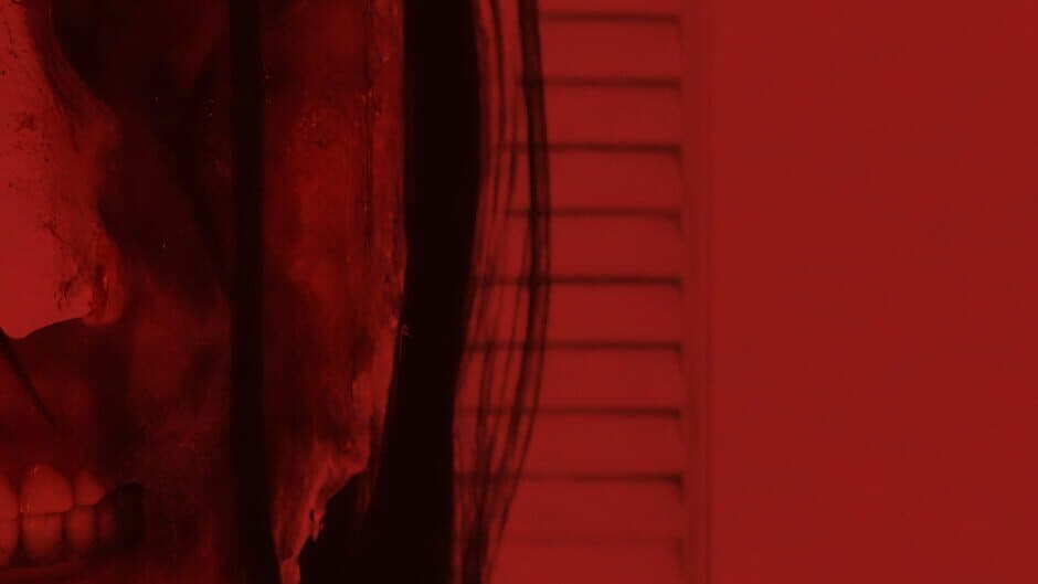 Dream Cage artwork 1