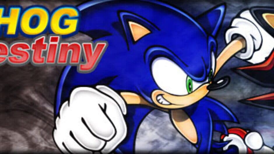 Hedgehog Destiny artwork 1