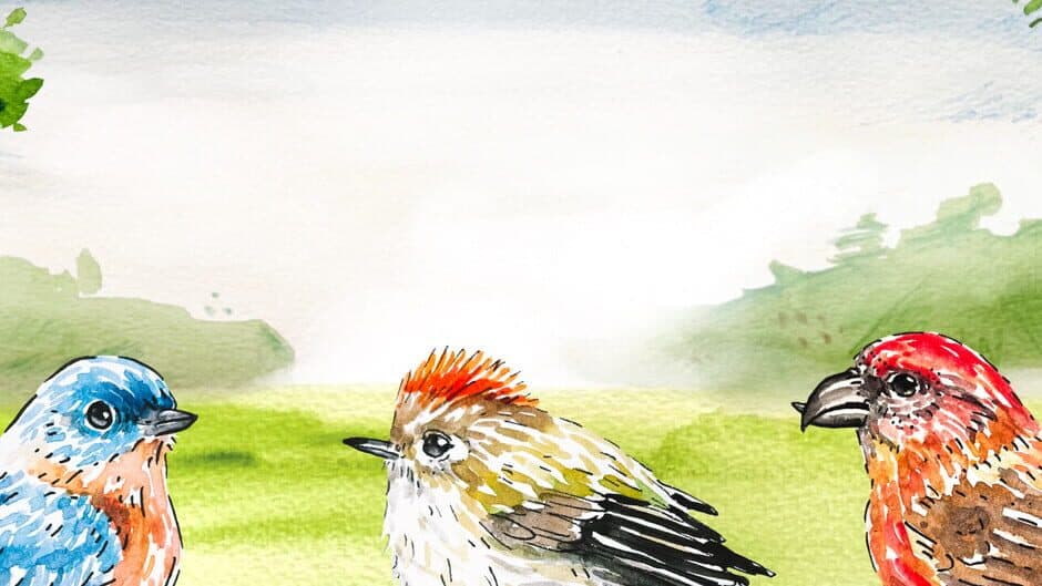 Birdfull artwork 1