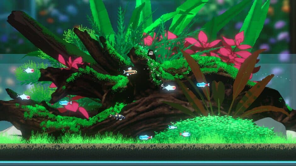 Joyquarium artwork 1