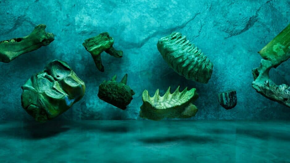 ShadowBox: Mausoleum of Natural History artwork 1