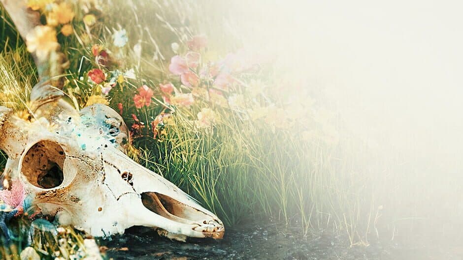 The Fading of Nicole Wilson artwork 1