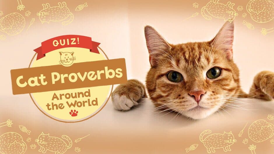 Quiz! Cat Proverbs Around the World artwork 1