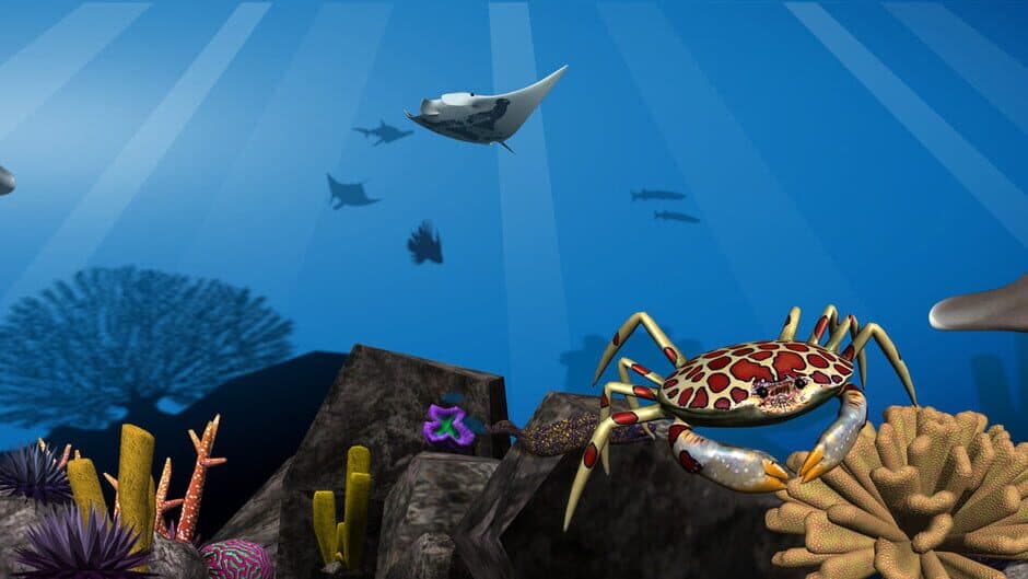 Reef Defense artwork 1
