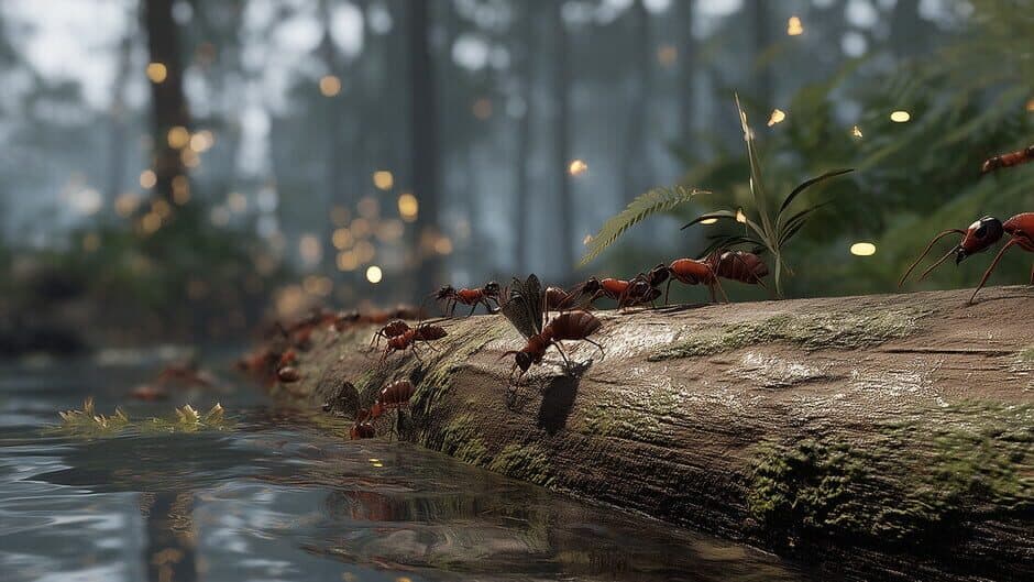 Empire of the Insects artwork 1