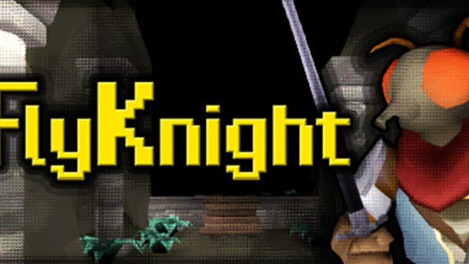 FlyKnight artwork 2