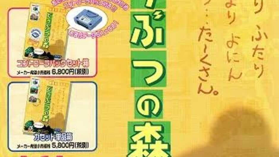 Doubutsu no Mori: Controller Pak Bundle Edition artwork 2