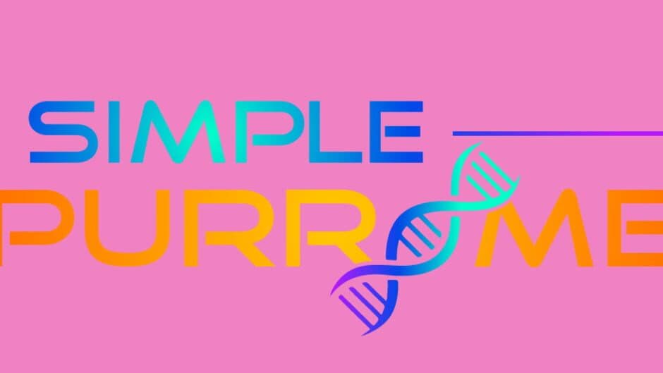 A Simple Expurriment artwork 2