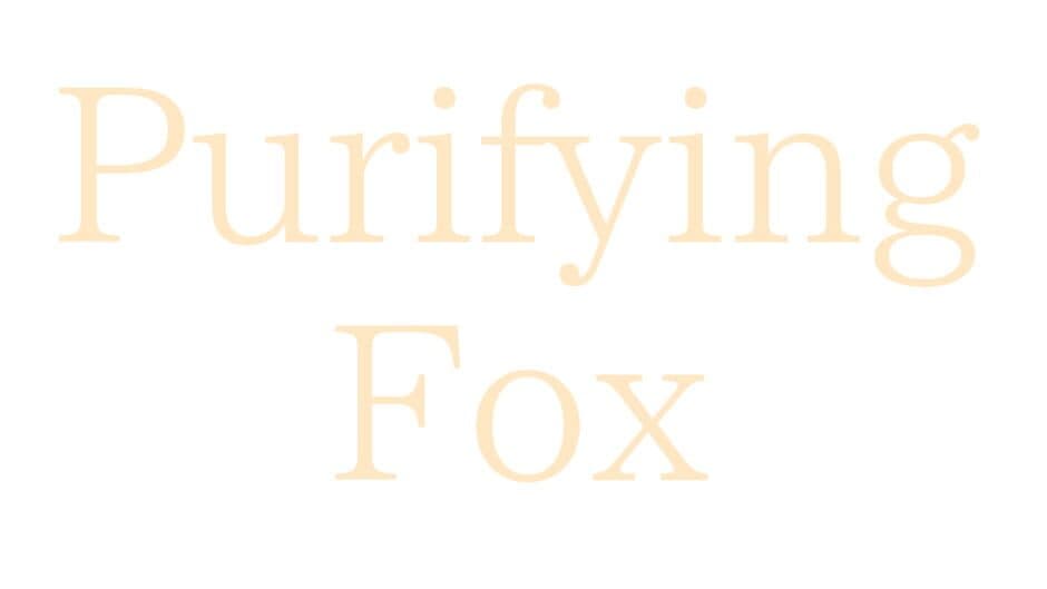 Purifying Fox artwork 1
