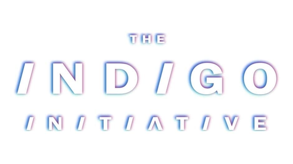 The Indigo Initiative artwork 2