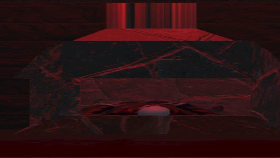 Twelve Mental Patients artwork 1