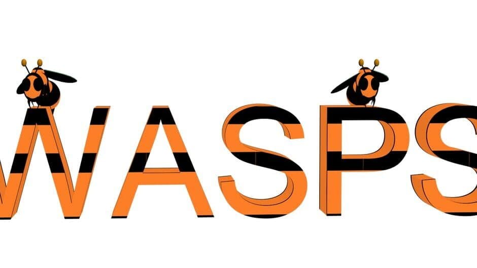 Wasps artwork 1