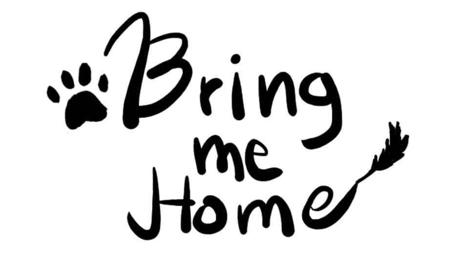 Bring Me Home artwork 2