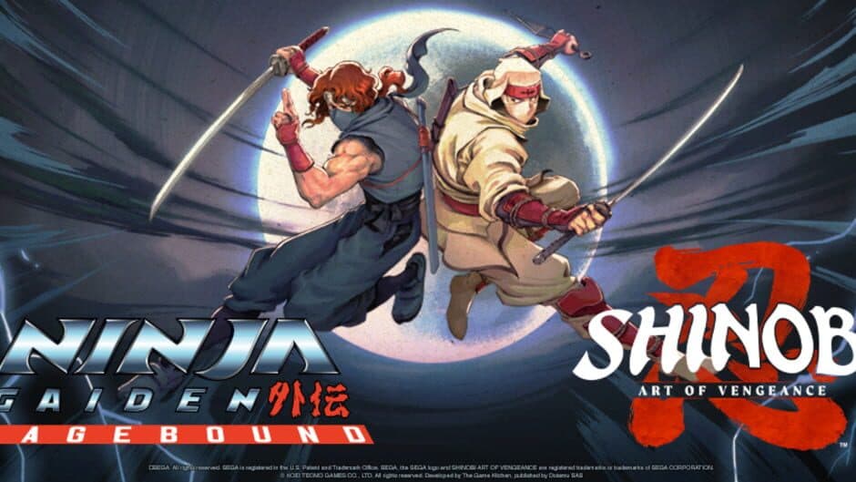 Path of the Ninja Bundle artwork 2