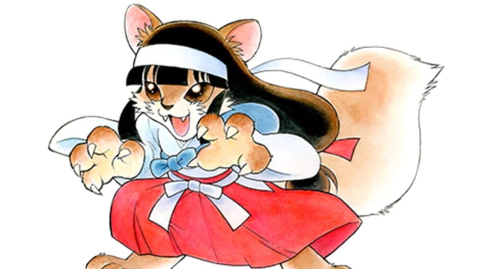 Pocky & Rocky Reshrined artwork 3