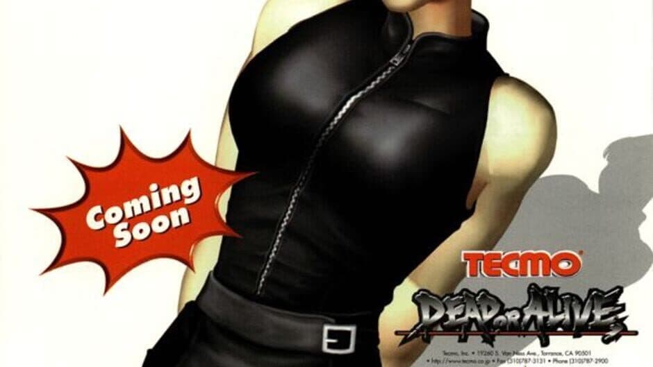 Tecmo Stackers artwork 3