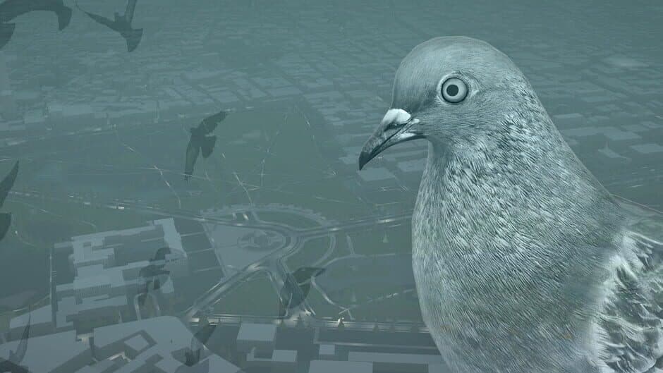 Pigeon: A Love Story artwork 1