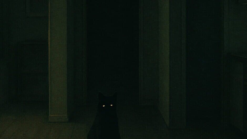 Don't Feed the Cat artwork 1