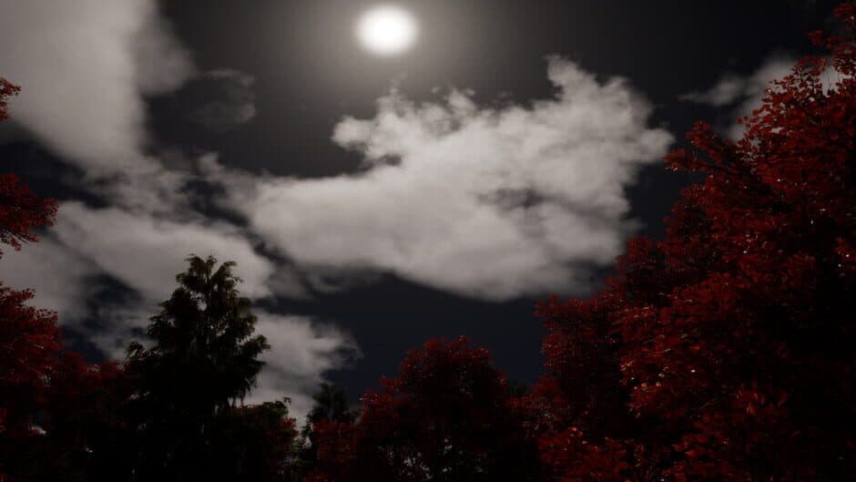 Marcella Moon: The Phantom of Harvest Grove artwork 1