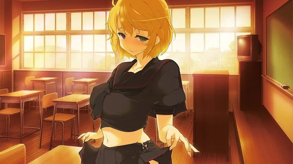 Senran Kagura Reflexions: Ryouna Reflexions Course & 7-Outfit Set artwork 1