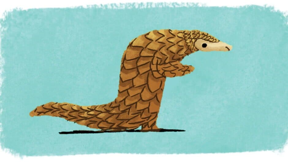 Pangolin Love: Day 2 - India artwork 2