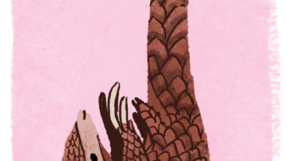 Pangolin Love: Day 4 - The Philippines artwork 1