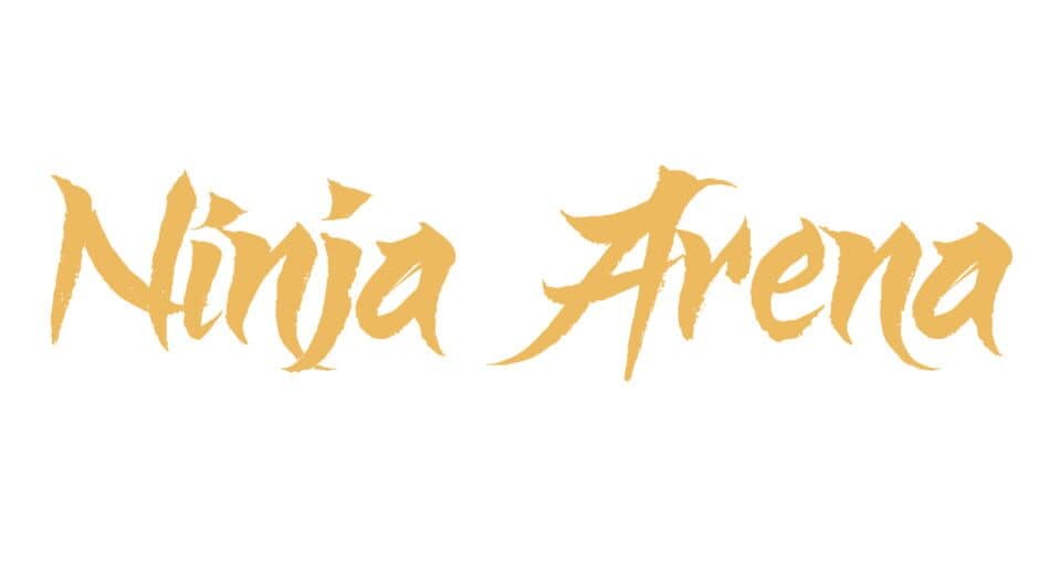 Ninja Arena artwork 2