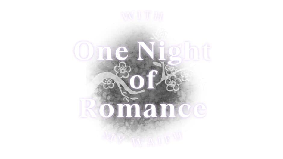 One Night of Romance With My Waifu artwork 2
