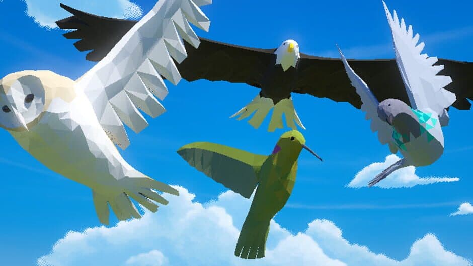 Bird Game 3 artwork 1