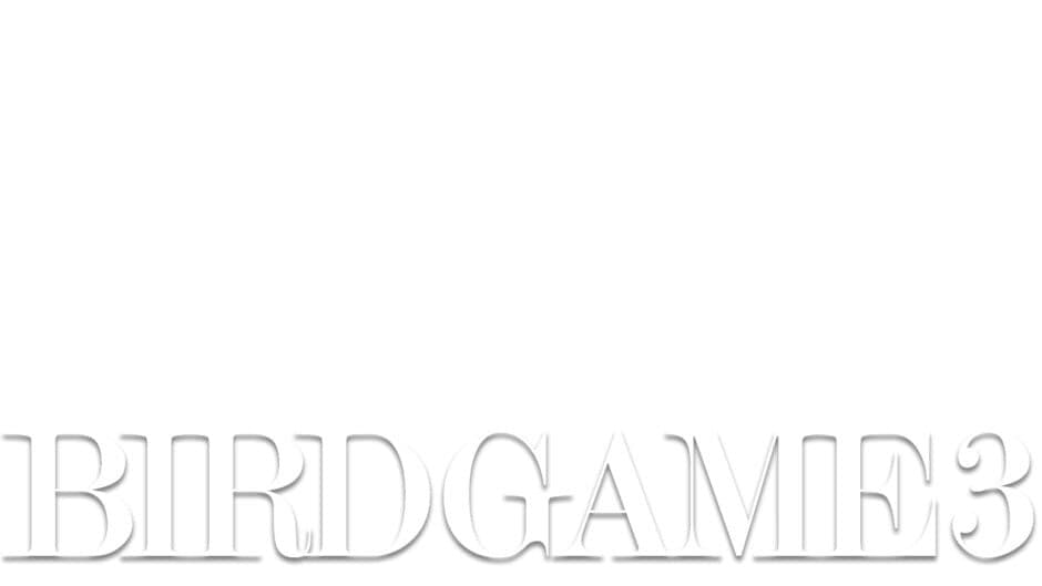 Bird Game 3 artwork 2