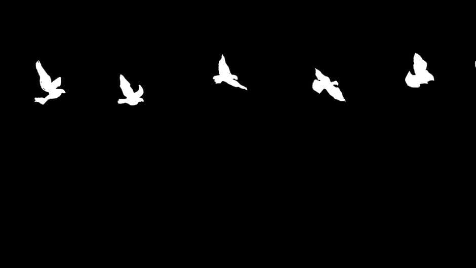 Bird artwork 1