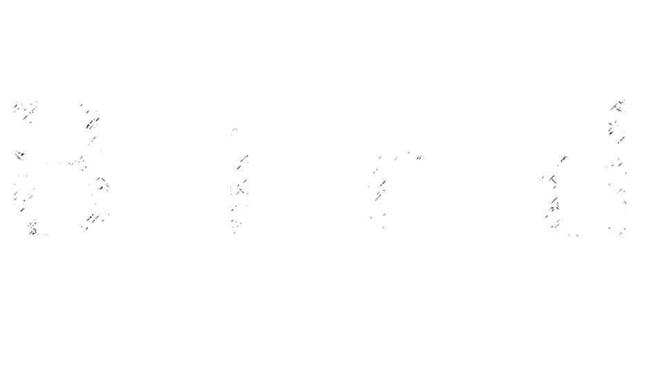 Bird artwork 2
