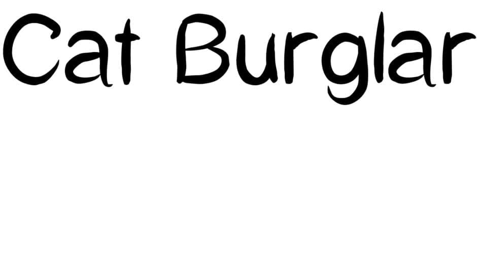 Cat Burglar artwork 2