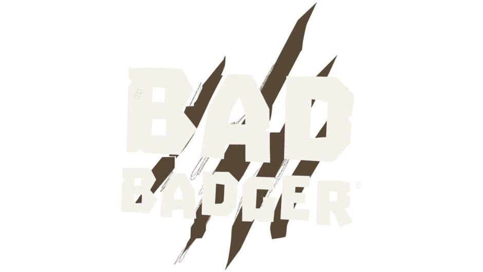 Bad Badger artwork 2