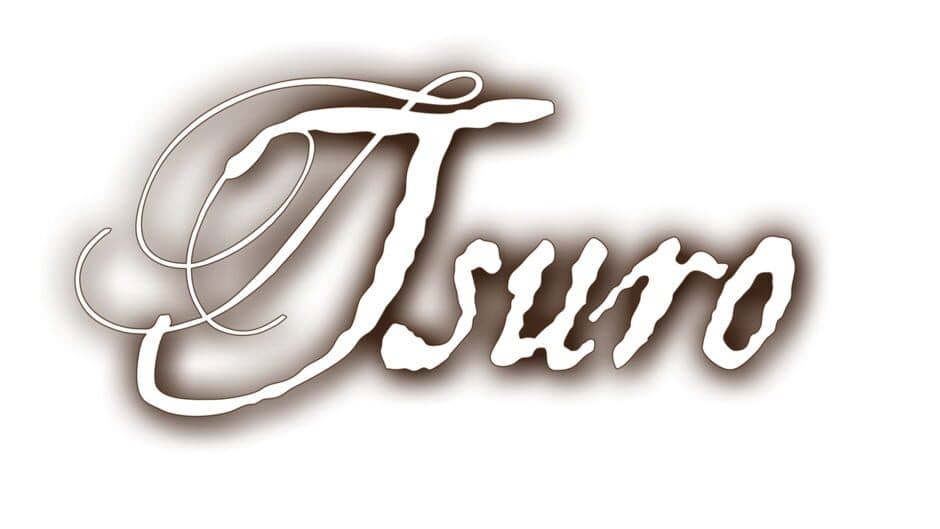 Tsuro: The Game of The Path artwork 2