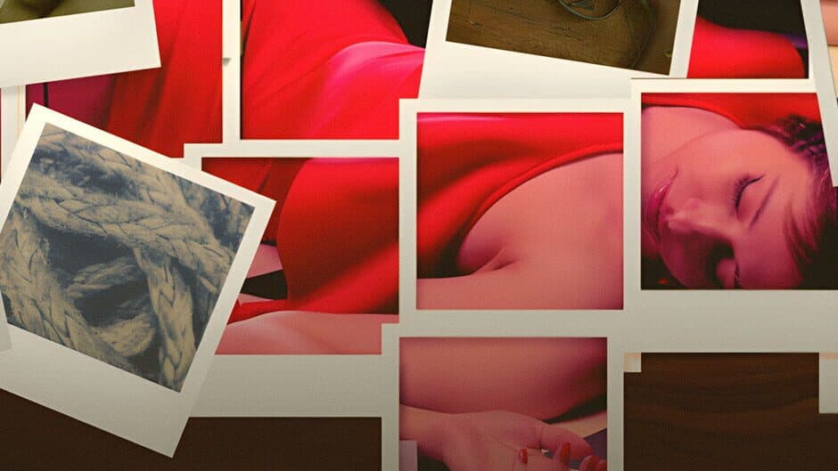 Cold Case: The Red Dress Murder artwork 1