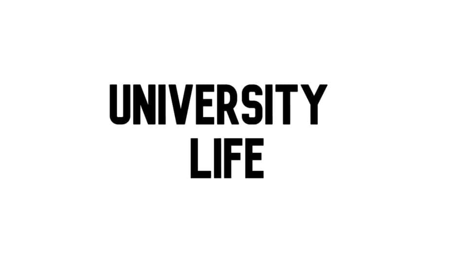 University Life Visual Novel artwork 2