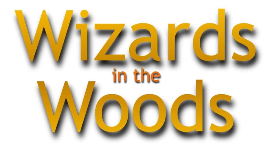 Wizards in the Woods artwork 2