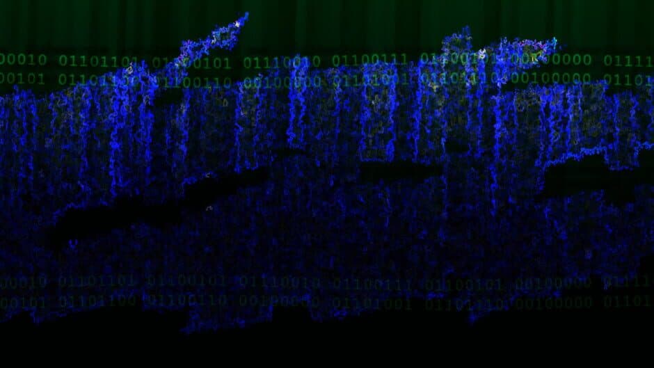 Collect Call artwork 1