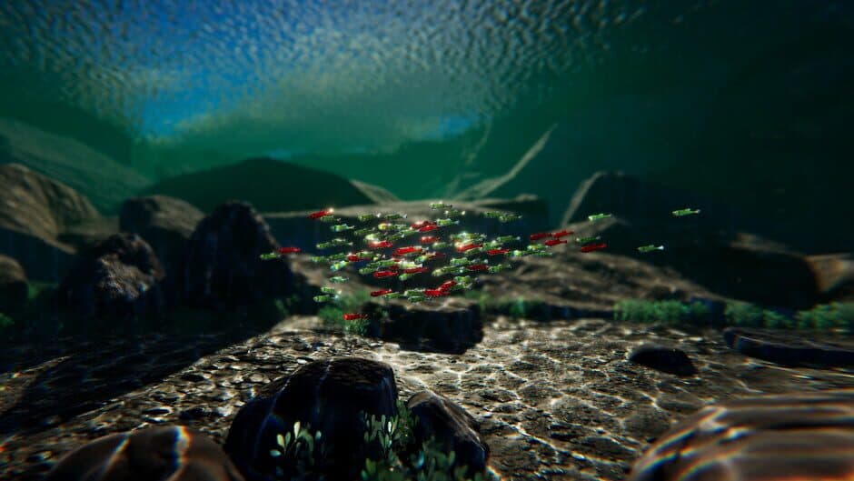 Fish Swarm: Within Inches artwork 1