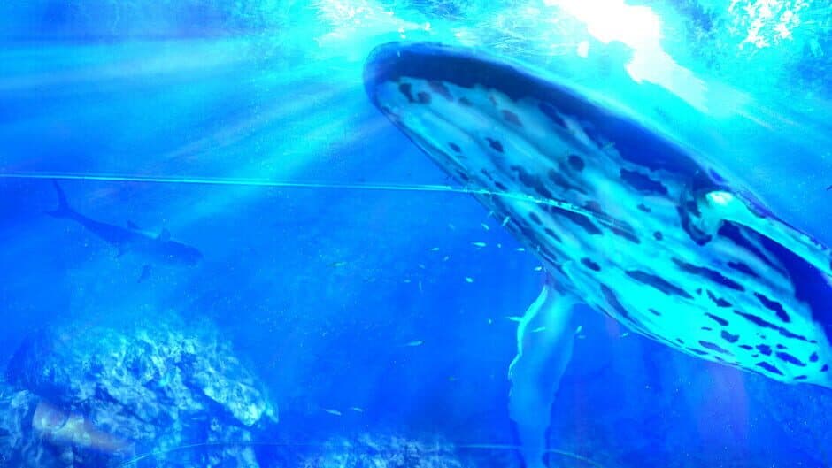 Aquarium at August 32nd VR artwork 1