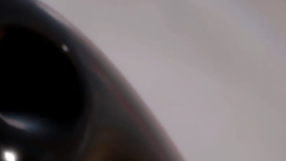 The Curator artwork 1