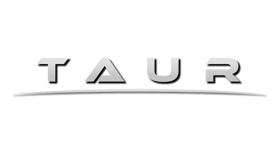 Taur artwork 1