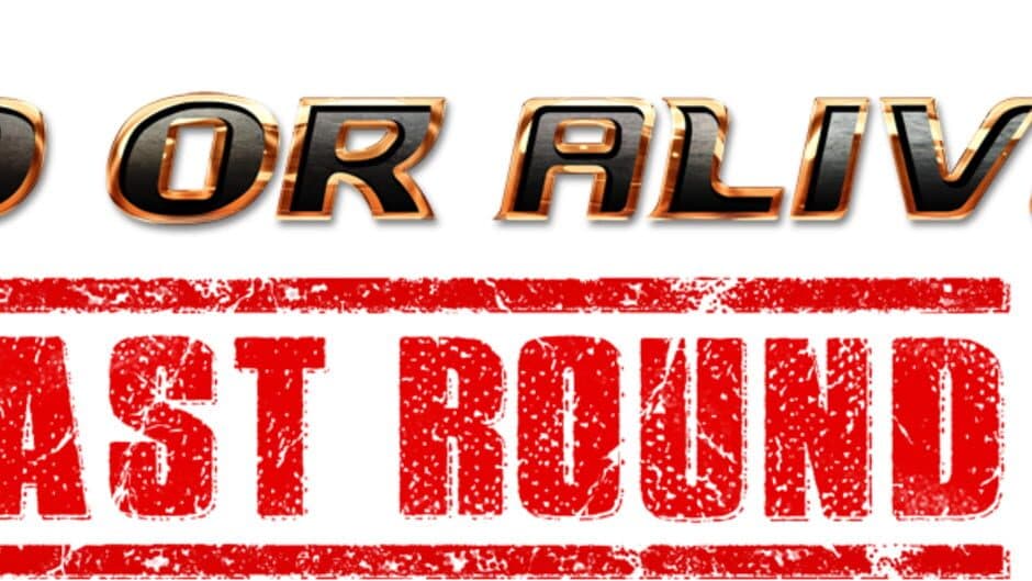 Dead or Alive 6 Last Round artwork 1